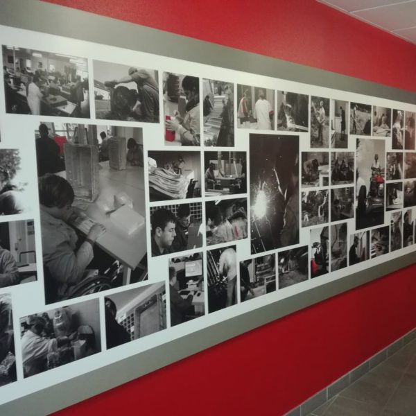 121702195_705159253684244_1351676666171642692_n