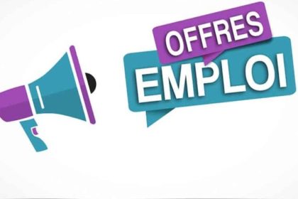 Offre d'emploi d'assistant.e de gestion associative pour Différent et Compétent Réseau